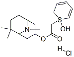 38738-59-9,2-Thiopheneacetic acid, alpha-hydroxy-alpha-2-thienyl-, (1R,3R,5R)-6,6 ,9-trimethyl-9-azabicyclo(3.3.1)non-3-yl ester, hydrochloride, rel-