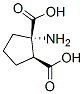39026-64-7,(+/-)-1-AMINOCYCLOPENTANE-CIS-1,2-DICARBOXYLIC ACID