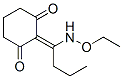 395655-49-9,1,3-Cyclohexanedione, 2-[1-(ethoxyamino)butylidene]- (9CI)