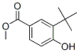 39778-63-7,3-TERT-BUTYL-4-HYDROXYBENZOIC ACID METHYL ESTER