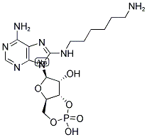 39824-30-1,8-AHA-CAMP
