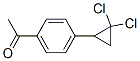 40641-93-8,1-[4-(2,2-DICHLOROCYCLOPROPYL)PHENYL]ETHAN-1-ONE