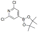 408492-27-3,2,6-DICHLORO-4-(4,4,5,5-TETRAMETHYL-1,3,2-DIOXABOROLAN-2-YL)PYRIDINE