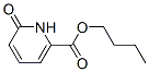 40975-44-8,2-Pyridinecarboxylicacid,1,6-dihydro-6-oxo-,butylester(9CI)