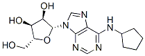 41552-82-3,N6-CYCLOPENTYLADENOSINE