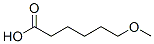 41639-61-6,6-METHOXY-HEXANOIC ACID
