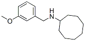 418790-18-8,N-CYCLOOCTYL-M-METHOXYBNZYLAMINE
