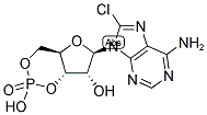 41941-56-4,8-CHLORO-CAMP