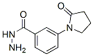 420097-54-7,Benzoic acid, 3-(2-oxo-1-pyrrolidinyl)-, hydrazide (9CI)