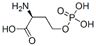 4210-66-6,(2S)-2-amino-4-phosphonooxy-butanoic acid