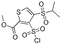 423768-47-2,METHYL 3-(CHLOROSULFONYL)-4-(ISOPROPYLSULFONYL)-2-THIOPHENECARBOXYLATE