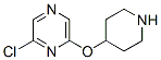426830-19-5,2-CHLORO-6-(4-PIPERIDINYLOXY)PYRAZINE