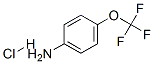 42823-24-5,4-(TRIFLUOROMETHOXY)ANILINE HYDROCHLORIDE