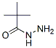 42826-42-6,2,2-Dimethylpropionic acid hydrazide