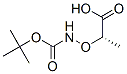 42989-92-4,Propanoic acid, 2-[[[(1,1-dimethylethoxy)carbonyl]amino]oxy]-, (2S)- (9CI)