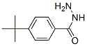 43100-38-5,4-tert-Butylbenzhydrazide