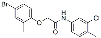 434303-68-1,CHEMBRDG-BB 7003040