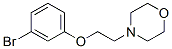 435283-95-7,4-[2-(3-BROMOPHENOXY)ETHYL]MORPHOLINE