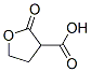 4360-91-2,2-oxooxolane-3-carboxylic acid