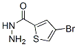 438219-36-4,2-Thiophenecarboxylicacid,4-bromo-,hydrazide(9CI)