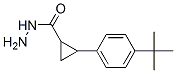 438616-66-1,Cyclopropanecarboxylic acid, 2-[4-(1,1-dimethylethyl)phenyl]-, hydrazide (9CI)