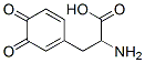 4430-97-1,2-amino-3-(3,4-dioxo-1-cyclohexa-1,5-dienyl)-propanoic acid
