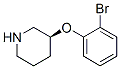 444605-45-2,S-3-(2-BROMOPHENOXY)PIPERIDINE