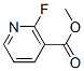 446-26-4,2-FLUORONICOTINIC ACID METHYL ESTER