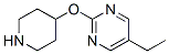 459819-33-1,Pyrimidine, 5-ethyl-2-(4-piperidinyloxy)- (9CI)