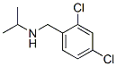 46190-62-9,2,4-dichloro-N-isopropylbenzylamine