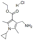 465515-33-7,ETHYL 4-(AMINOMETHYL)-1-CYCLOPROPYL-2,5-DIMETHYL-1H-PYRROLE-3-CARBOXYLATE HYDROCHLORIDE