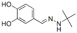 473238-79-8,Benzaldehyde, 3,4-dihydroxy-, (1,1-dimethylethyl)hydrazone (9CI)