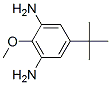 473269-70-4,4-tert-Butyl-2,6-diaminoanisole