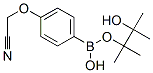 475272-13-0,4-CYANOMETHOXY-PHENYLBORONIC ACID, PINACOL ESTER