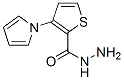 478050-34-9,2-Thiophenecarboxylicacid,3-(1H-pyrrol-1-yl)-,hydrazide(9CI)