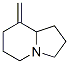 478797-09-0,Indolizine, octahydro-8-methylene- (9CI)