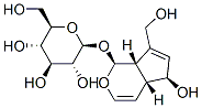 Aucubin 479-98-1,Aucubin