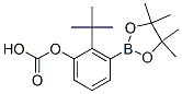 480438-74-2,TERT-BUTYL-3-(4,4,5,5-TETRAMETHYL-1,3,2-DIOXABOROLAN-2-YL)PHENYL CARBONATE