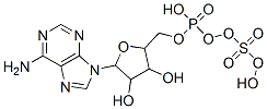 485-84-7,6-amino-9-[3,4-dihydroxy-5-[(hydroxy-sulfooxy-phosphoryl)oxymethyl]oxolan-2-yl]-purine