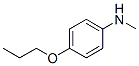 485795-30-0,Benzenamine, N-methyl-4-propoxy- (9CI)