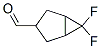 494210-62-7,Bicyclo[3.1.0]hexane-3-carboxaldehyde, 6,6-difluoro- (9CI)