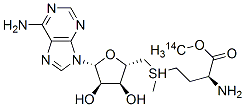 4989-98-4,S-ADENOSYL-L-METHIONINE, [METHYL-14C]