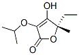 499140-47-5,2(5H)-Furanone,5-ethyl-4-hydroxy-5-methyl-3-(1-methylethoxy)-,(5S)-(9CI)