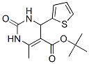 500268-74-6,5-Pyrimidinecarboxylicacid,1,2,3,4-tetrahydro-6-methyl-2-oxo-4-(2-thienyl)-,1,1-dimethylethylester(9CI)