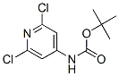 501907-61-5,Carbamic acid, (2,6-dichloro-4-pyridinyl)-, 1,1-dimethylethyl ester (9CI)