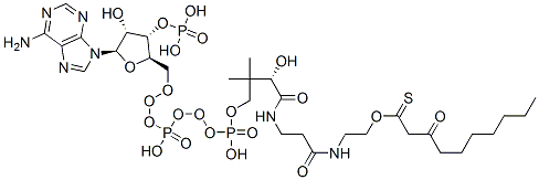 50411-91-1,S-[2-[3-[[4-[[[(2R,3S,4R,5R)-5-(6-aminopurin-9-yl)-4-hydroxy-3-phosphonooxyoxolan-2-yl]methoxy-hydroxyphosphoryl]oxy-hydroxyphosphoryl]oxy-2-hydroxy-3,3-dimethylbutanoyl]amino]propanoylamino]ethyl] 3-oxodecanethioate