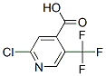 505084-58-2,2-Chloro-5-(trifluoromethyl)isonicotinic acid 97%