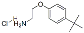 50634-73-6,2-(4-TERT-BUTYLPHENOXY)ETHANAMINE HYDROCHLORIDE