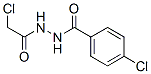 50677-27-5,4-CHLORO-N'-(2-CHLOROACETYL)BENZENECARBOHYDRAZIDE
