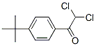 50807-17-5,2,2-dichloro-1-[4-(1,1-dimethylethyl)phenyl]ethan-1-one